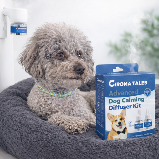 CalmiDog™